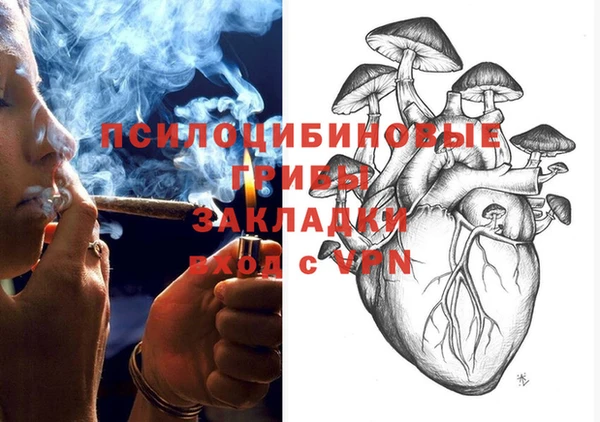 гидропоника Алзамай