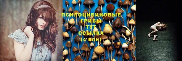 mdpv Алексеевка