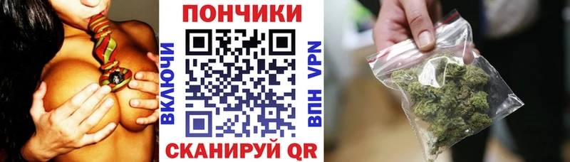 OMG зеркало  цены наркотик  Берёзовка  Шишки марихуана сатива 
